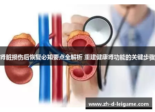 肾脏损伤后恢复必知要点全解析 重建健康肾功能的关键步骤