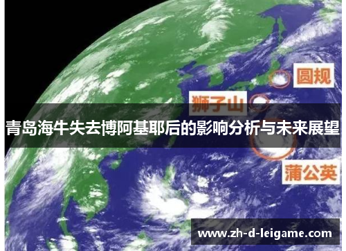 青岛海牛失去博阿基耶后的影响分析与未来展望