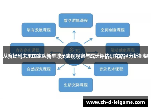 从赛场到未来国家队新星球员表现观察与成长评估研究路径分析框架